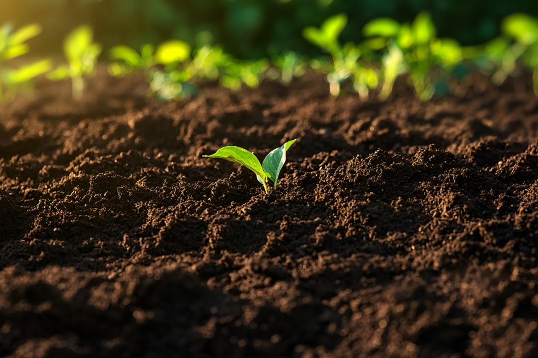 從土壤污染到健康守護(hù)，佳譜 S350 讓...